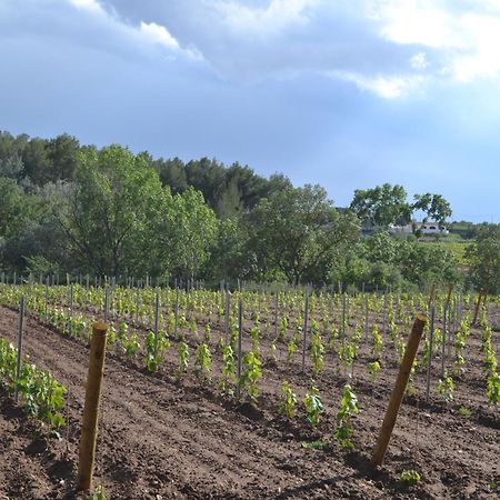 Casa Cal Tofol Villa Font-Rubi Exteriör bild