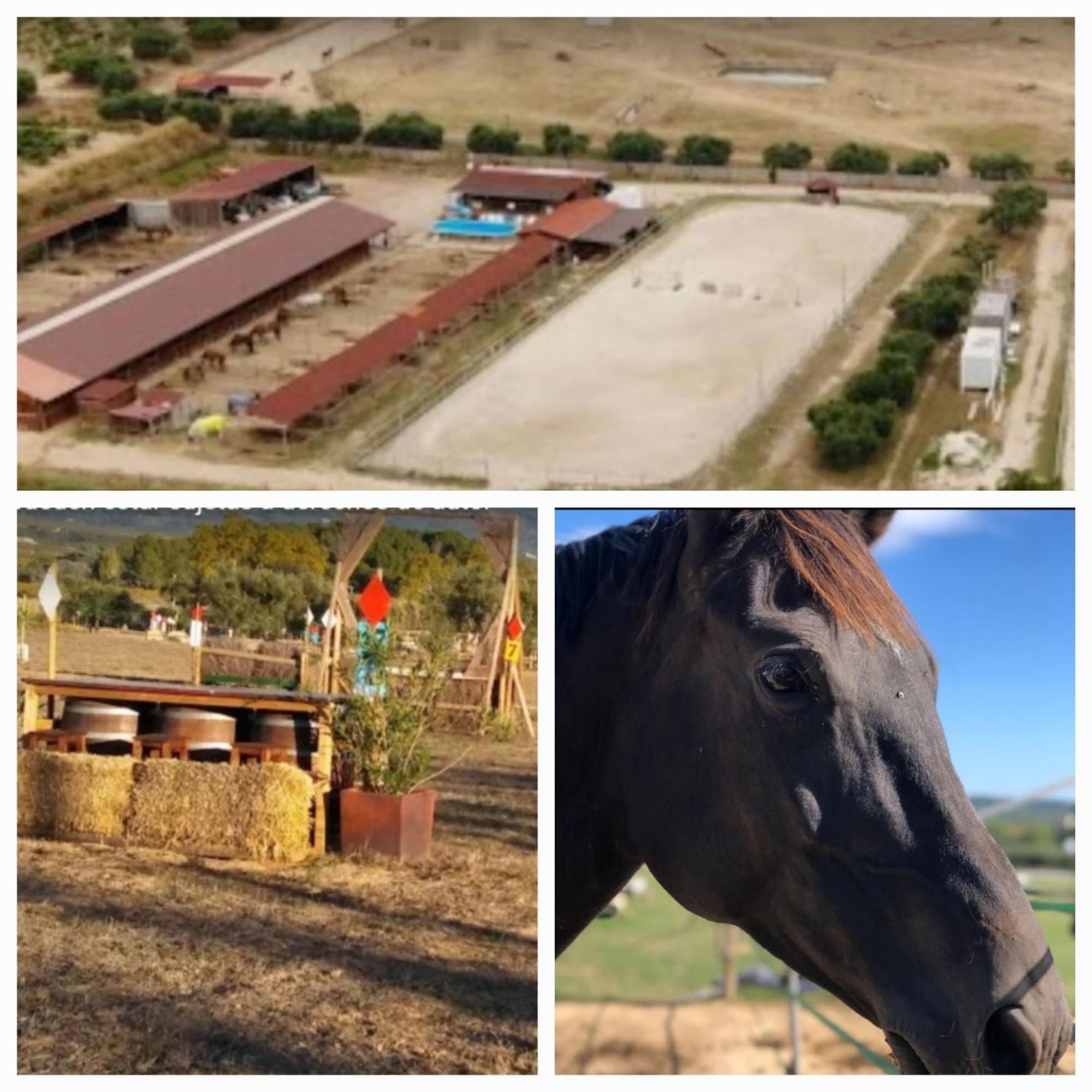 Casa Cal Tofol Villa Font-Rubi Exteriör bild